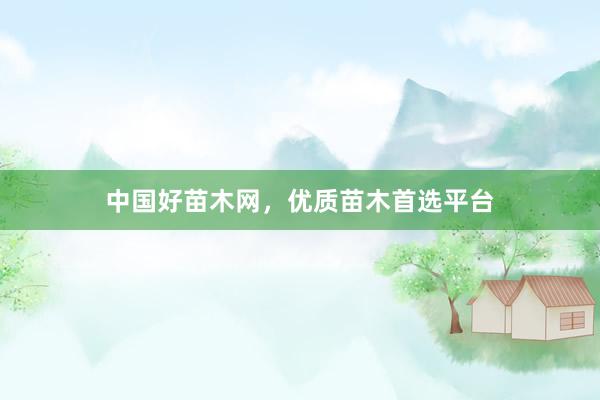 中国好苗木网,优质苗木首选平台