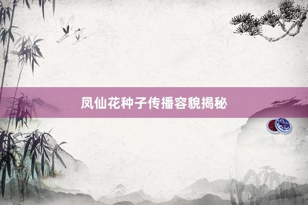 凤仙花种子传播容貌揭秘