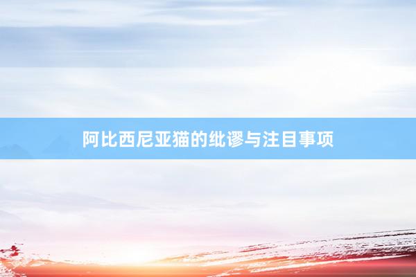 阿比西尼亚猫的纰谬与注目事项