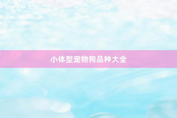 小体型宠物狗品种大全